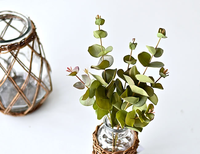 ユーカリ バンチ ゼネラルストア オルネ