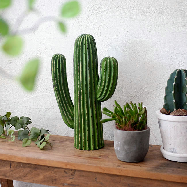 CACTUS スタンドオブジェ｜ゼネラルストア オルネ