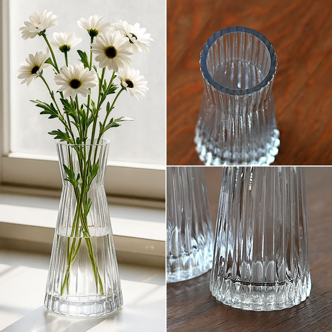 リードライン ガラスベース | ゼネラルストア オルネ