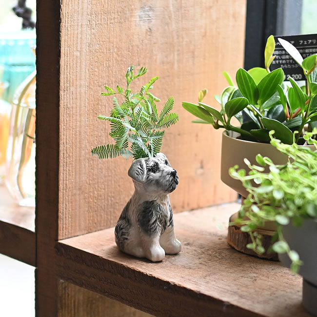 植物のそばに飾ったシュナウザーの陶器製ミニベース