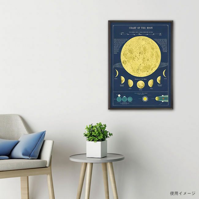  Cavallini & Co. ポスター ムーンチャート  