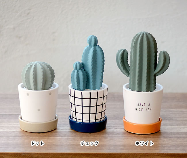 CACTUS エコ加湿器