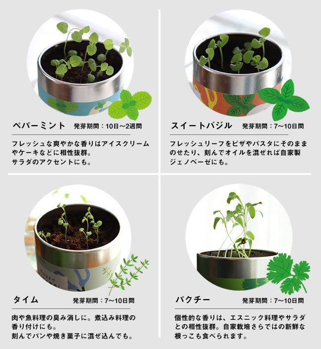 缶で育てるハーブの栽培セット