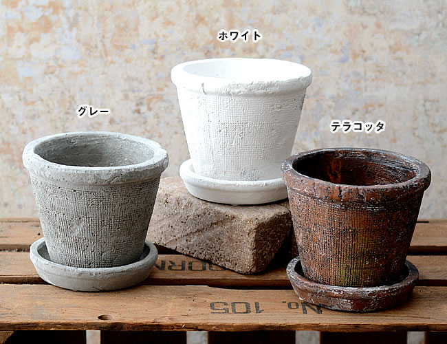  アガベポット 15 