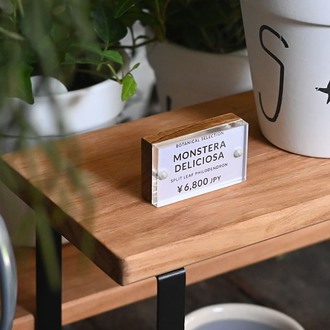 植物のプライスカードを挟み、鉢の横の木製棚に立てたカードホルダー