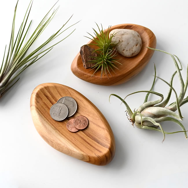 植物やコインを飾った天然木のトレイ