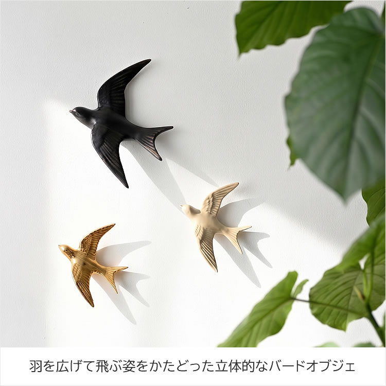 ウォール フラップバード