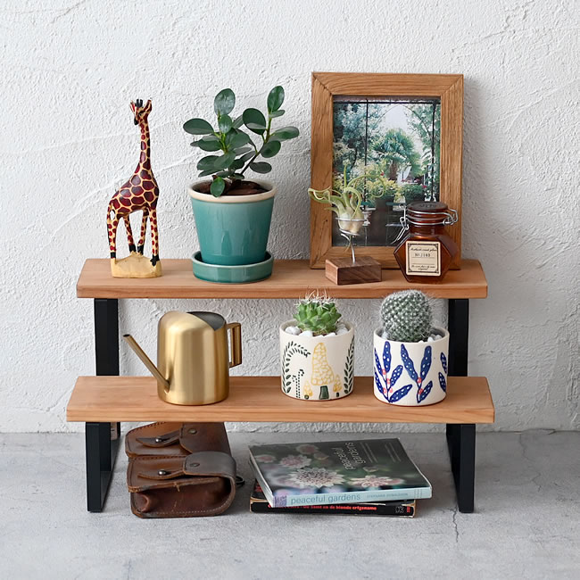 植物や雑貨を飾った2段WOODステップシェルフ