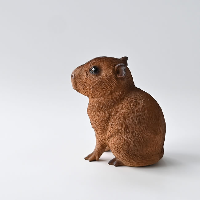  
PET BANK （カピバラ）