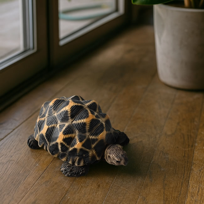  
リアルなホシガメの貯金箱 