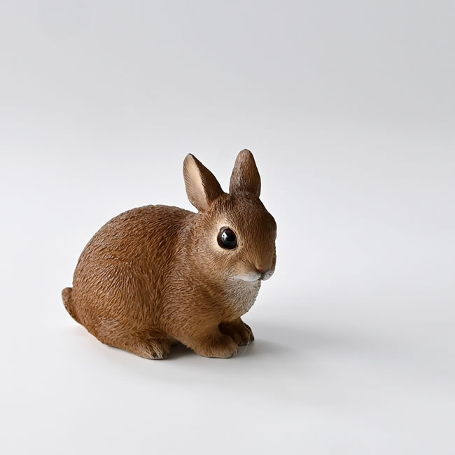  
PET BANK（ウサギ） 