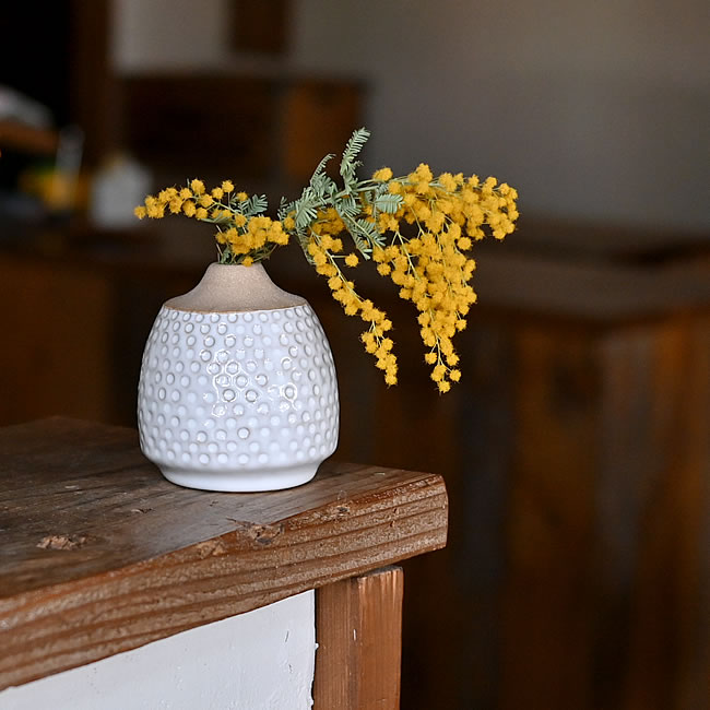 ミモザを飾った白陶の小さな花瓶