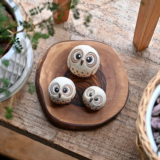  
信楽焼 まんまる ちびふくろう 