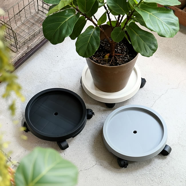  
Roller プランツトレイ 