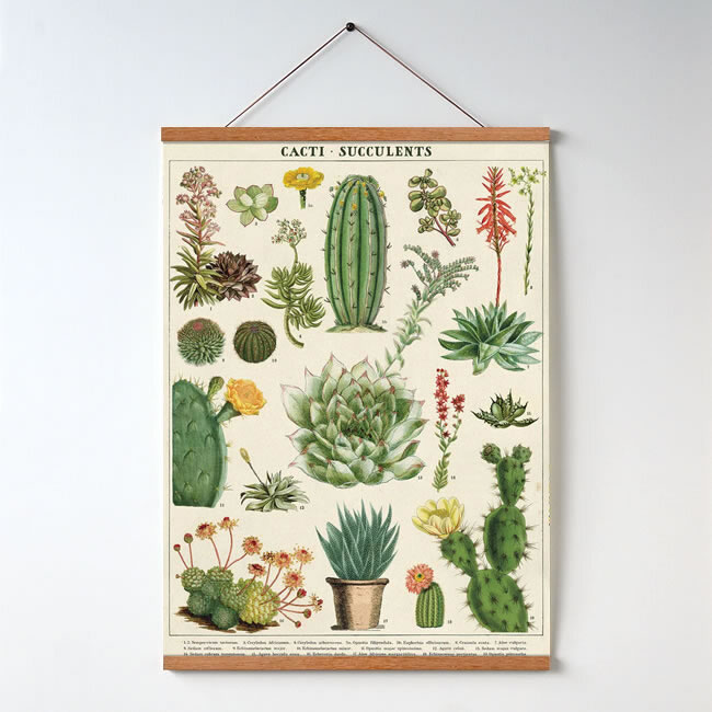 WOOD ポスターバインダー | ゼネラルストア オルネ