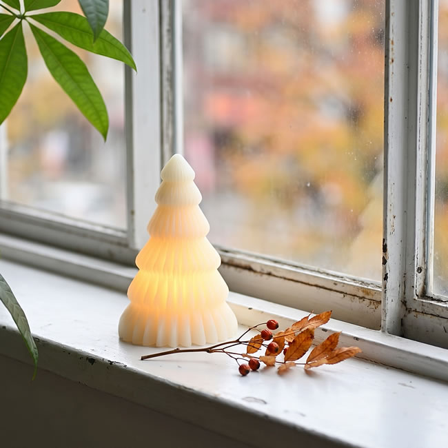 木の実と色づいた葉の枝を近くに置き、窓辺で灯したツリーライト