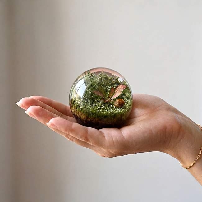 植物やタンポポを封入したボタニカルオーブの拡大