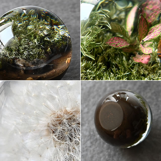 ボタニカルオーブの植物と綿毛、底面のディテール