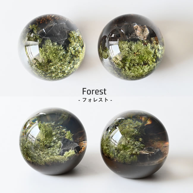 森の景色を封入したフォレストタイプの個体差