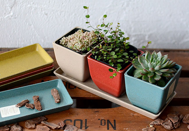 エコフォームズ クアドラソーサー 3 eco forms ナチュラル雑貨のオルネ  ナチュラルテイストな生活雑貨、キッチン雑貨、文具雑貨、ガーデニング雑貨、服飾雑貨などをご紹介する通販サイトです。