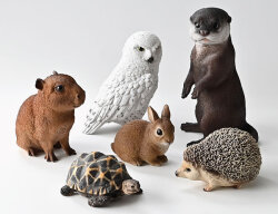 PET BANK